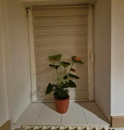 Apartment Ap Traian Mosoiu 2 Parcare Proprie *