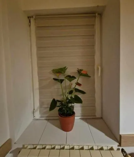 Appartamento Ap Traian Mosoiu 2 Parcare Proprie *