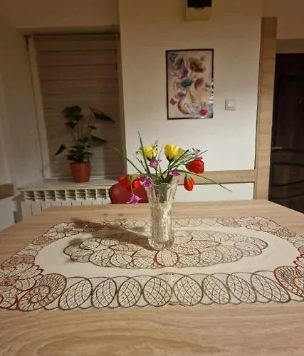 Ap Traian Mosoiu 2 Parcare Proprie Cluj-Napoca